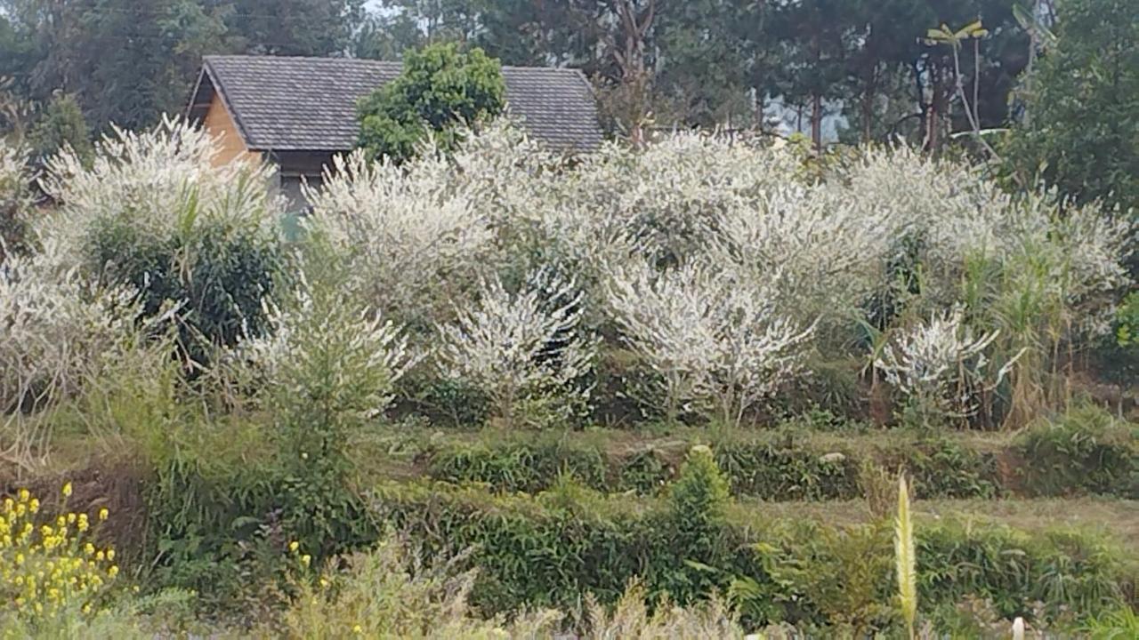 Huy Man Homestay Ха Жианг Екстериор снимка