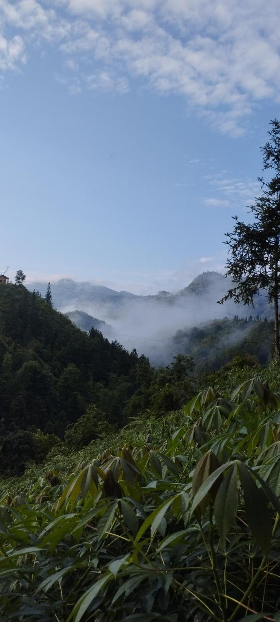 Huy Man Homestay Ха Жианг Екстериор снимка